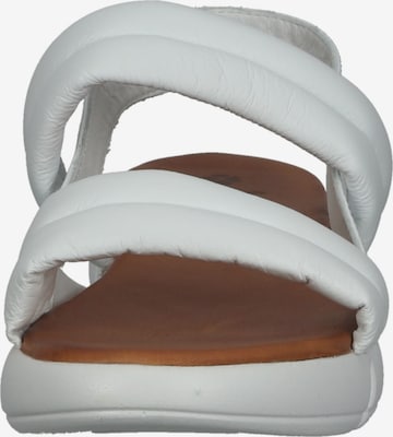 ILC Sandals in White