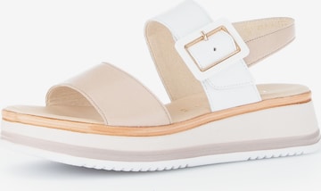 GABOR Sandal in Pink: front