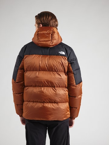 THE NORTH FACE Klasický střih Outdoorová bunda 'Diablo' – hnědá