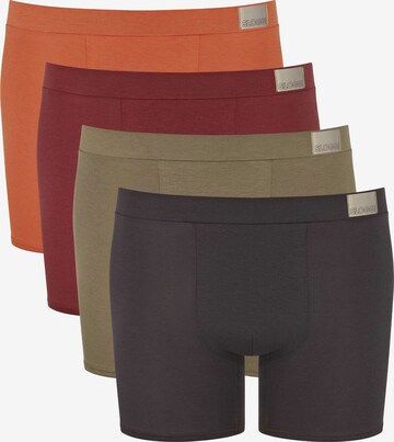 SLOGGI Boksershorts i brun: forside