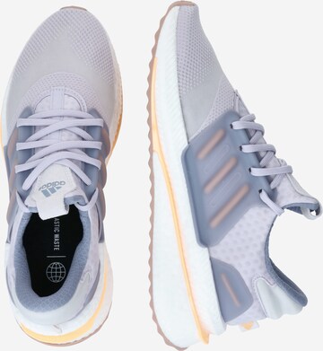 ADIDAS SPORTSWEAR Sportschuh 'X_PLRBOOST' in Lila