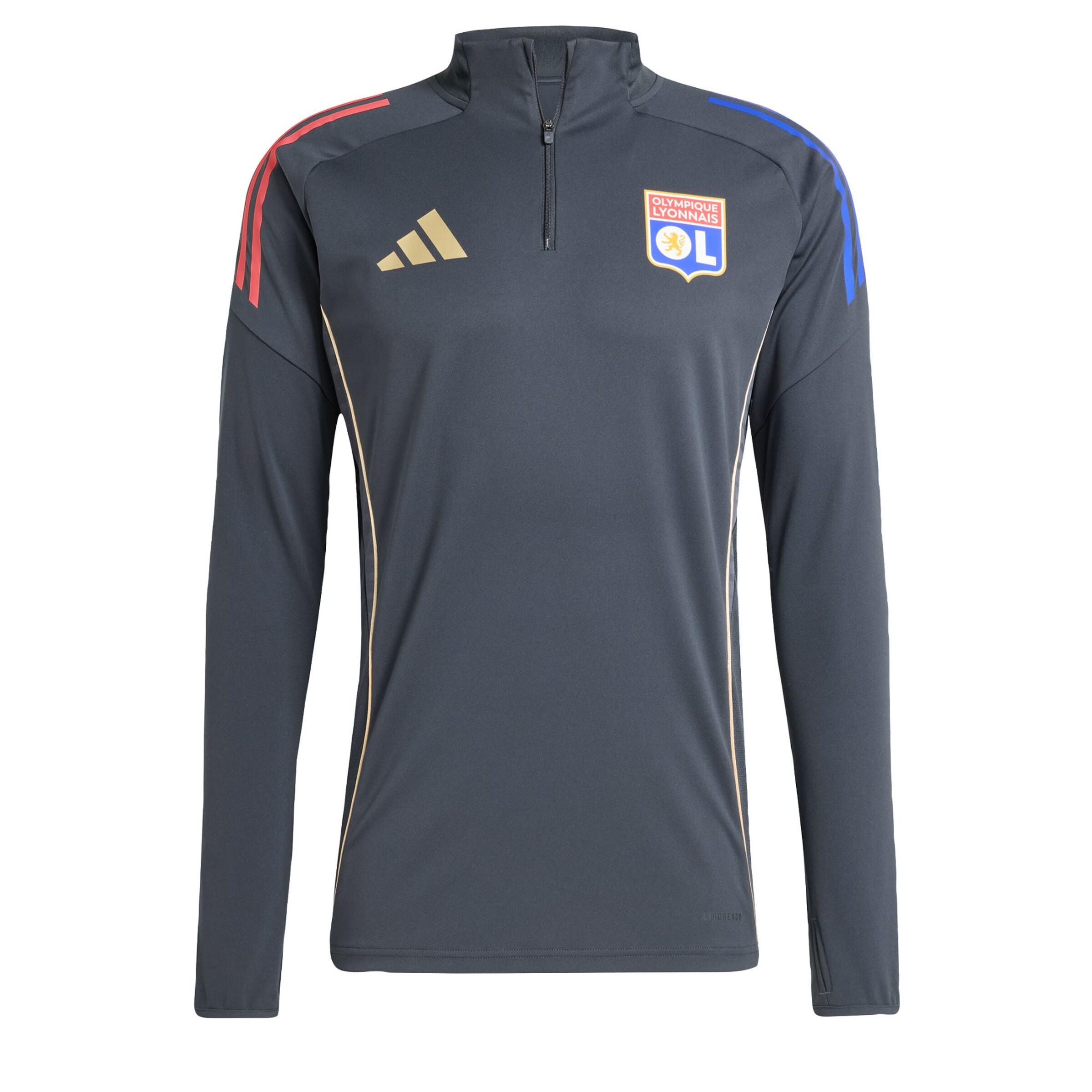 T-Shirt fonctionnel 'Olympique Lyon Tiro 25 Competition' ADIDAS PERFORMANCE en gris : devant