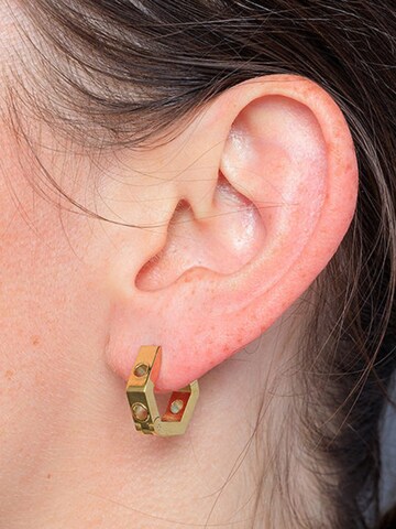 YParis Oorbellen 'Boucle Hexa Trash G' in Goud