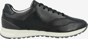 JOSEF SEIBEL Sneakers 'Thadeus 10' in Black