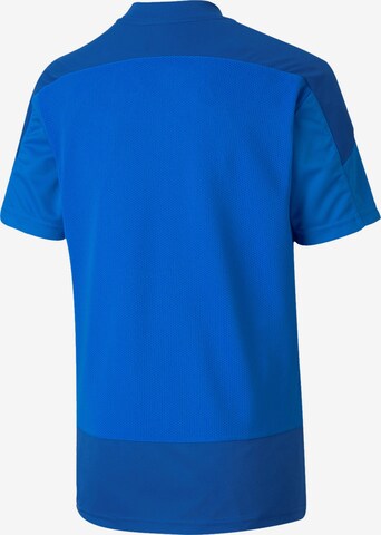 PUMA Functioneel shirt 'Team Goal' in Blauw
