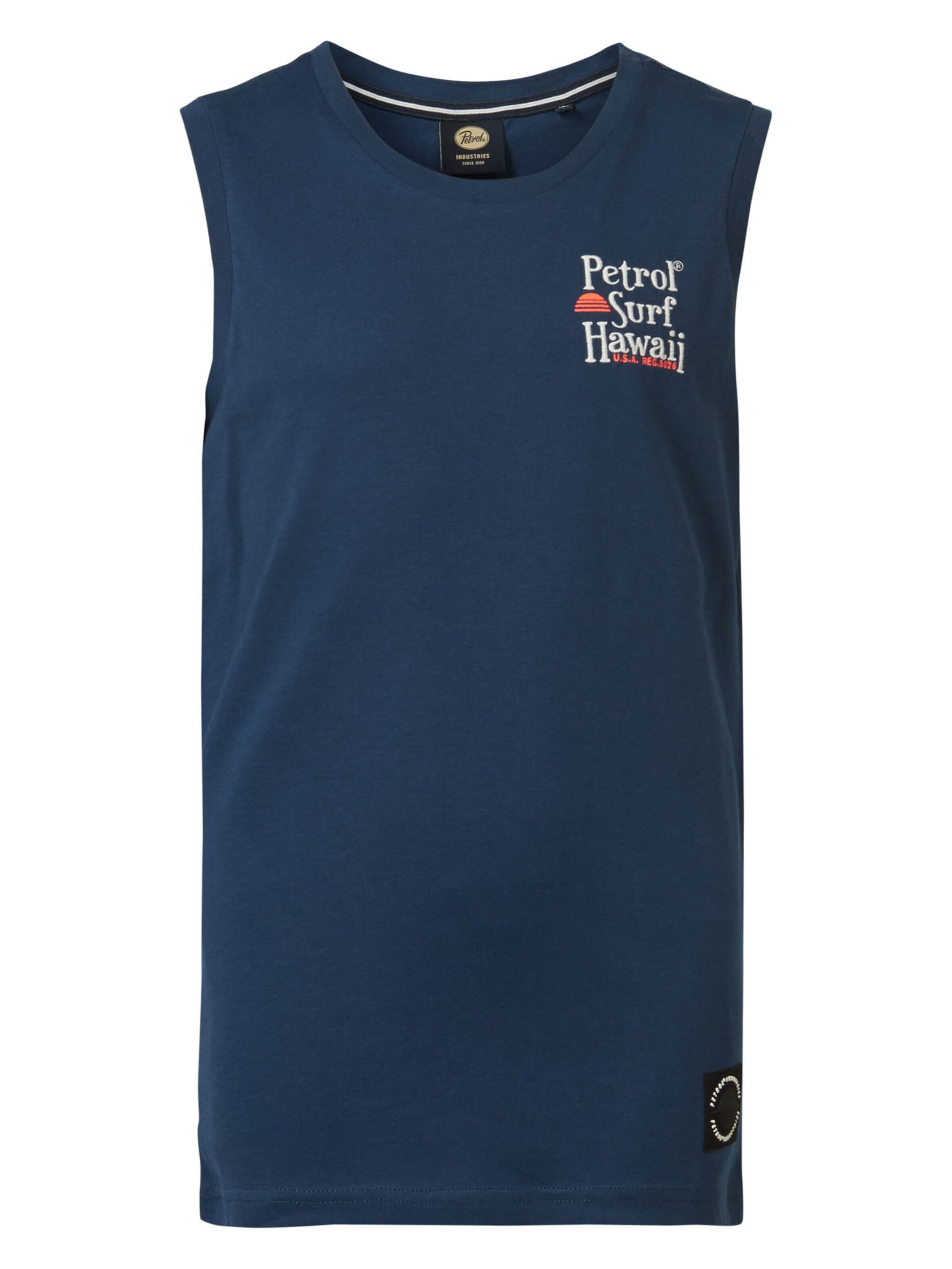 Petrol Industries Shirt in Blue: front