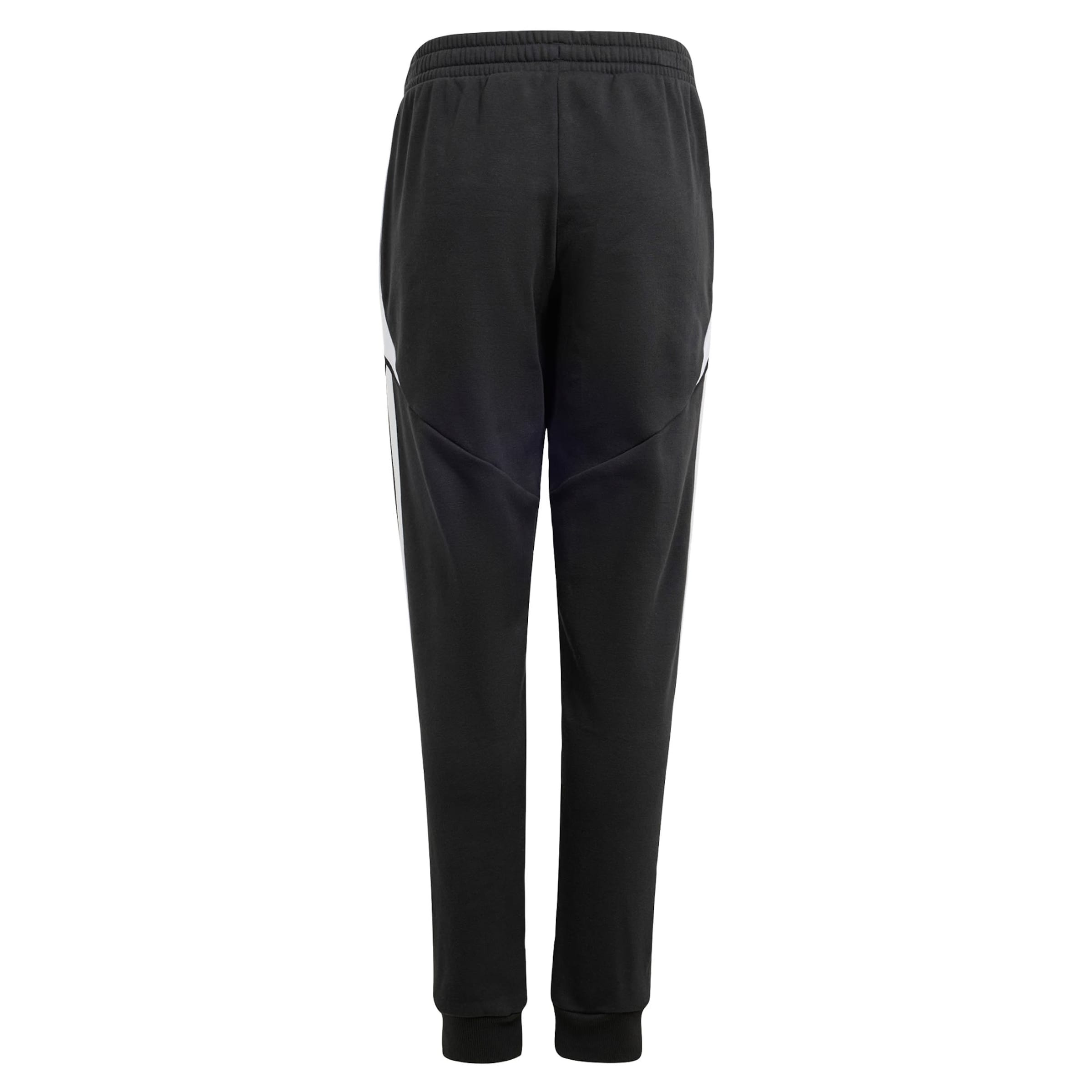 ADIDAS PERFORMANCE Конический (Tapered) Спортивные штаны 'Tiro 24' в Черный