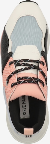 STEVE MADDEN Sneaker in Mischfarben