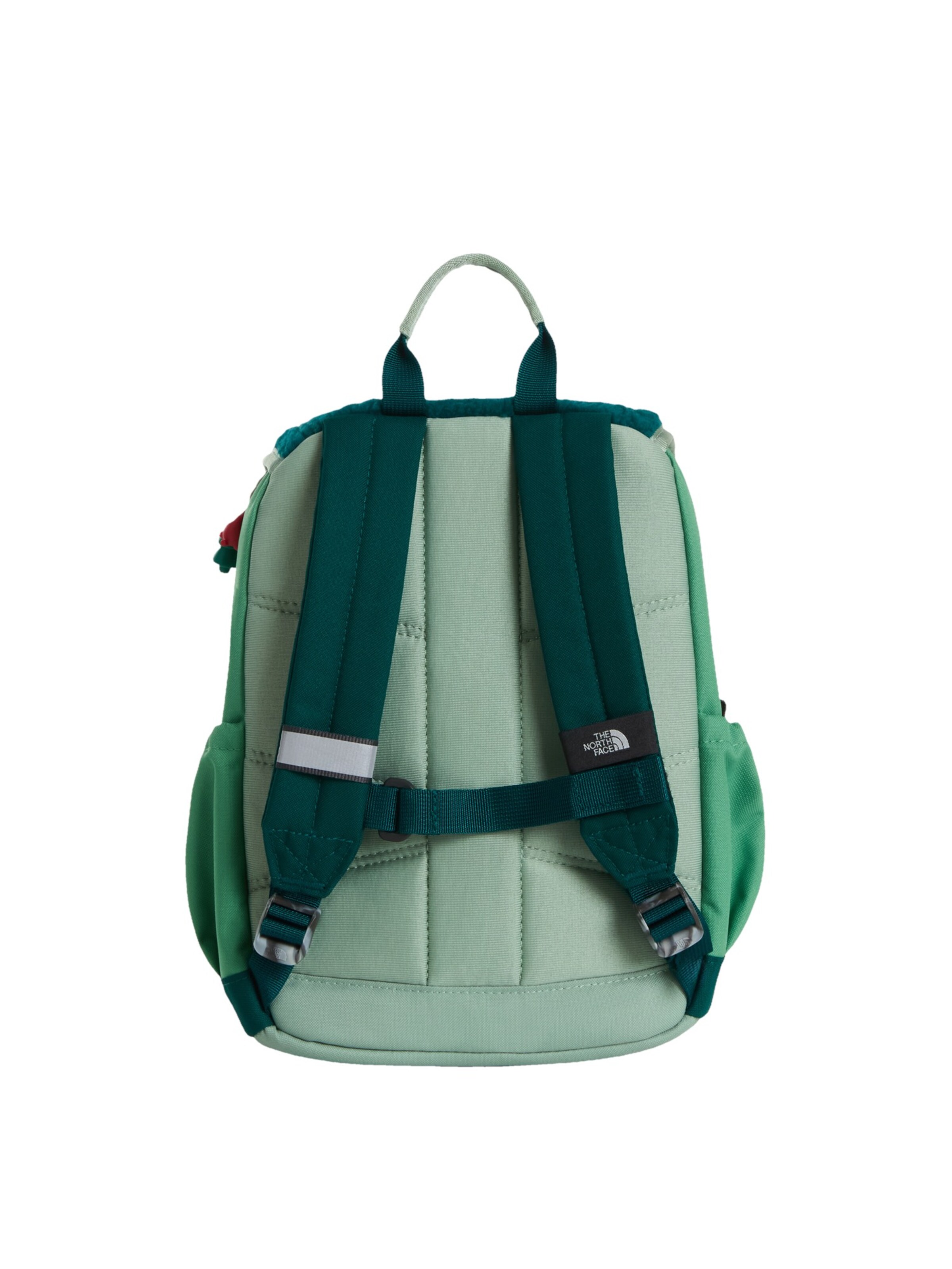 THE NORTH FACE Rucksack 'Explorer' in Grün