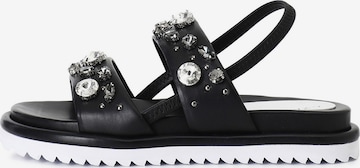 Sandalo di CAFè NOIR in nero: frontale