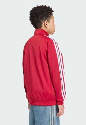 ADIDAS ORIGINALS Collegetakki 'Firebird' värissä punainen