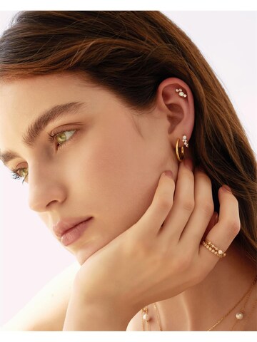 ANIA HAIE Ohrringe in Gold: Vorderseite