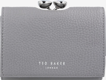 Porte-monnaies 'Alyeasha' Ted Baker en gris : devant