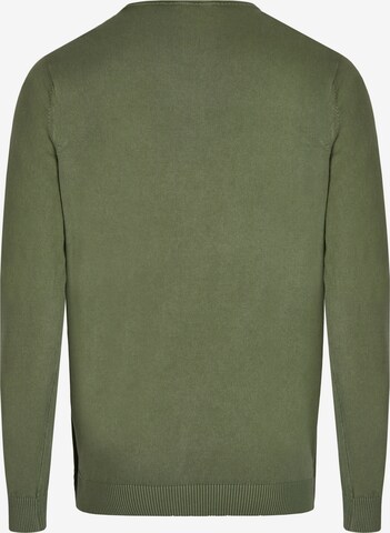HECHTER PARIS Sweater in Green