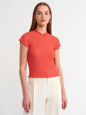 Dilvin Pullover 'Pullover'‌‌‌‌ in Orange: Vorderseite
