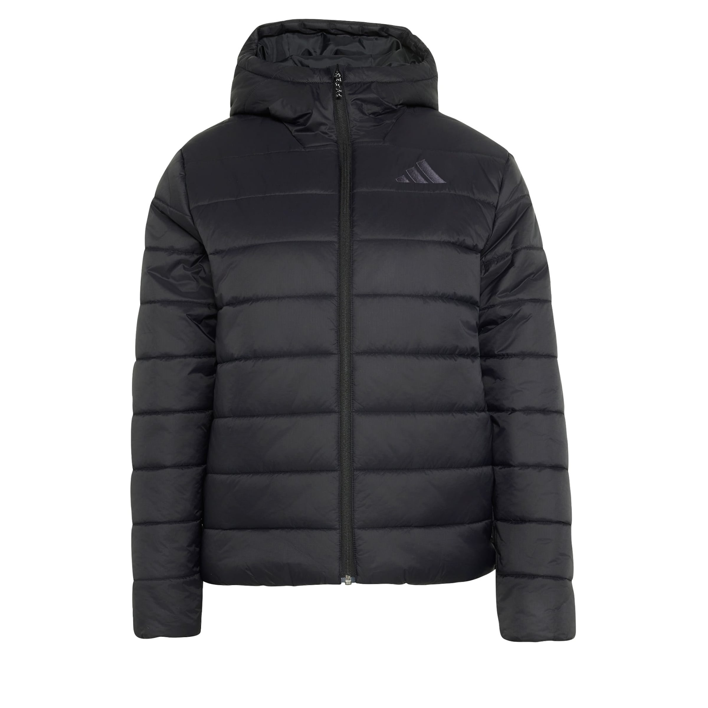 ADIDAS TERREX - Chaqueta de montaña 'Multi Essentials' en negro: frente