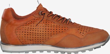Cetti Sneakers 'C848 M' in Orange