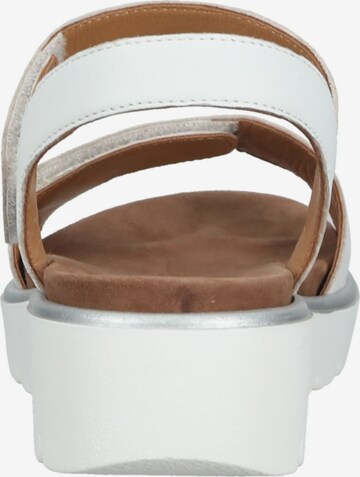 ARA Sandals in White