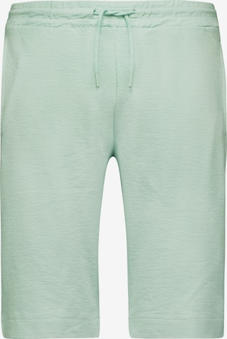 No Excess Regular Pants in Green: front