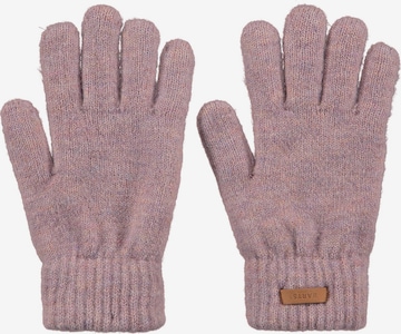 Barts Full Finger Gloves 'Witzia' in Pink: front