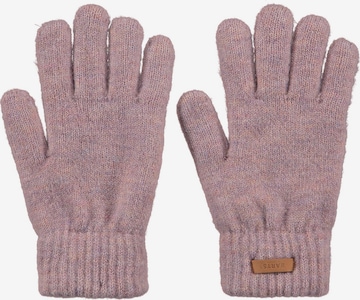 Barts Handschuhe 'Witzia' in Pink: Vorderseite