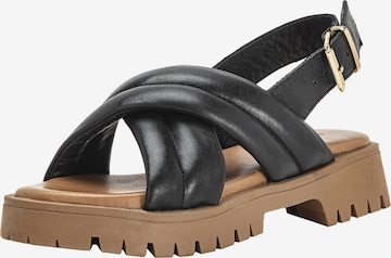 INUOVO Sandalen met riem in Zwart: voorkant
