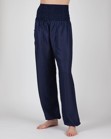 Paigh Loose fit Harem Pants in Blue: front