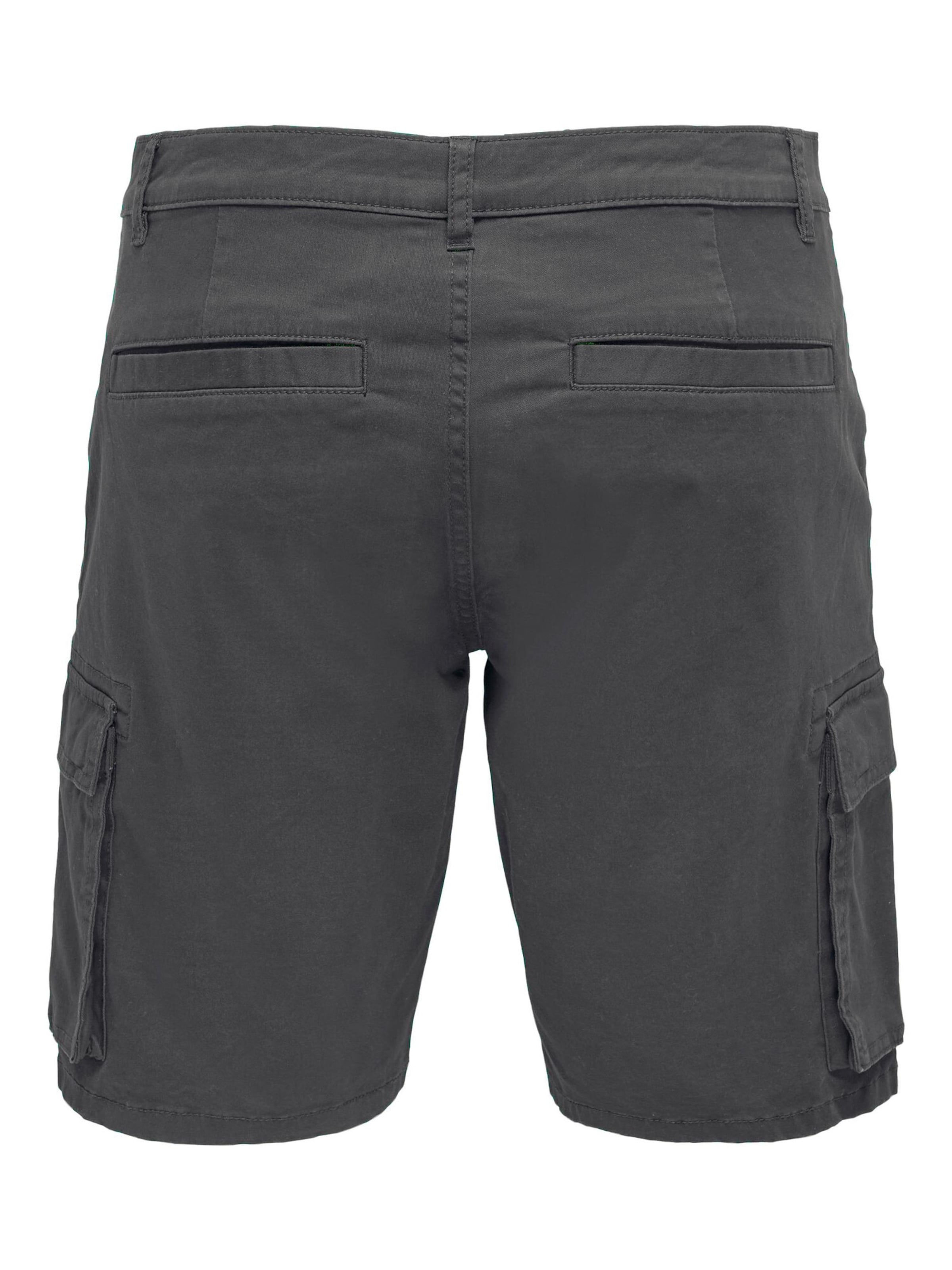 Regular Pantalon 'Cam Stage' Only & Sons en gris