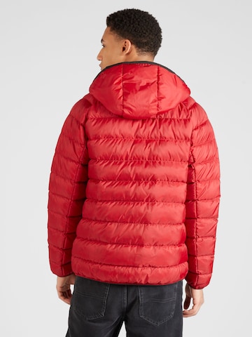 Tommy Jeans Winterjas in Rood