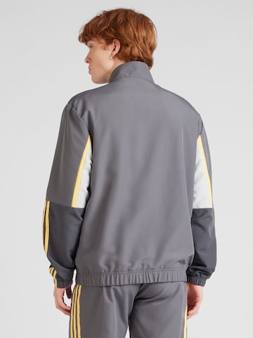 ADIDAS SPORTSWEAR Trainingsanzug in Grau