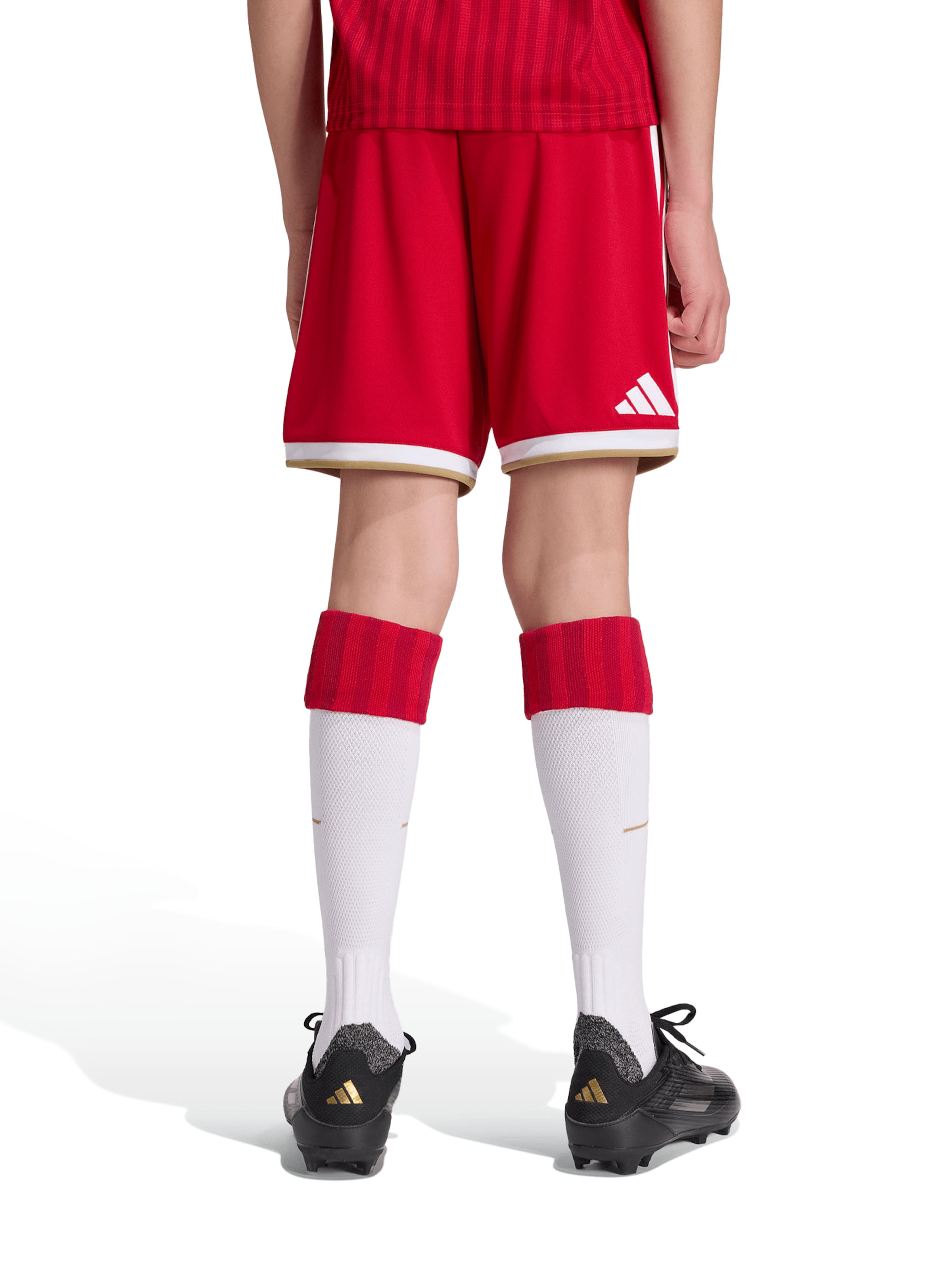ADIDAS PERFORMANCE regular Παντελόνι φόρμας 'FC Bayern München Home 26/27' σε κόκκινο