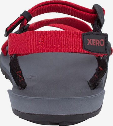 Xero Shoes Sandals & Slippers 'Z-Trail' in Red