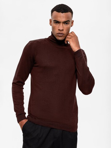 Pull-over Antioch en marron