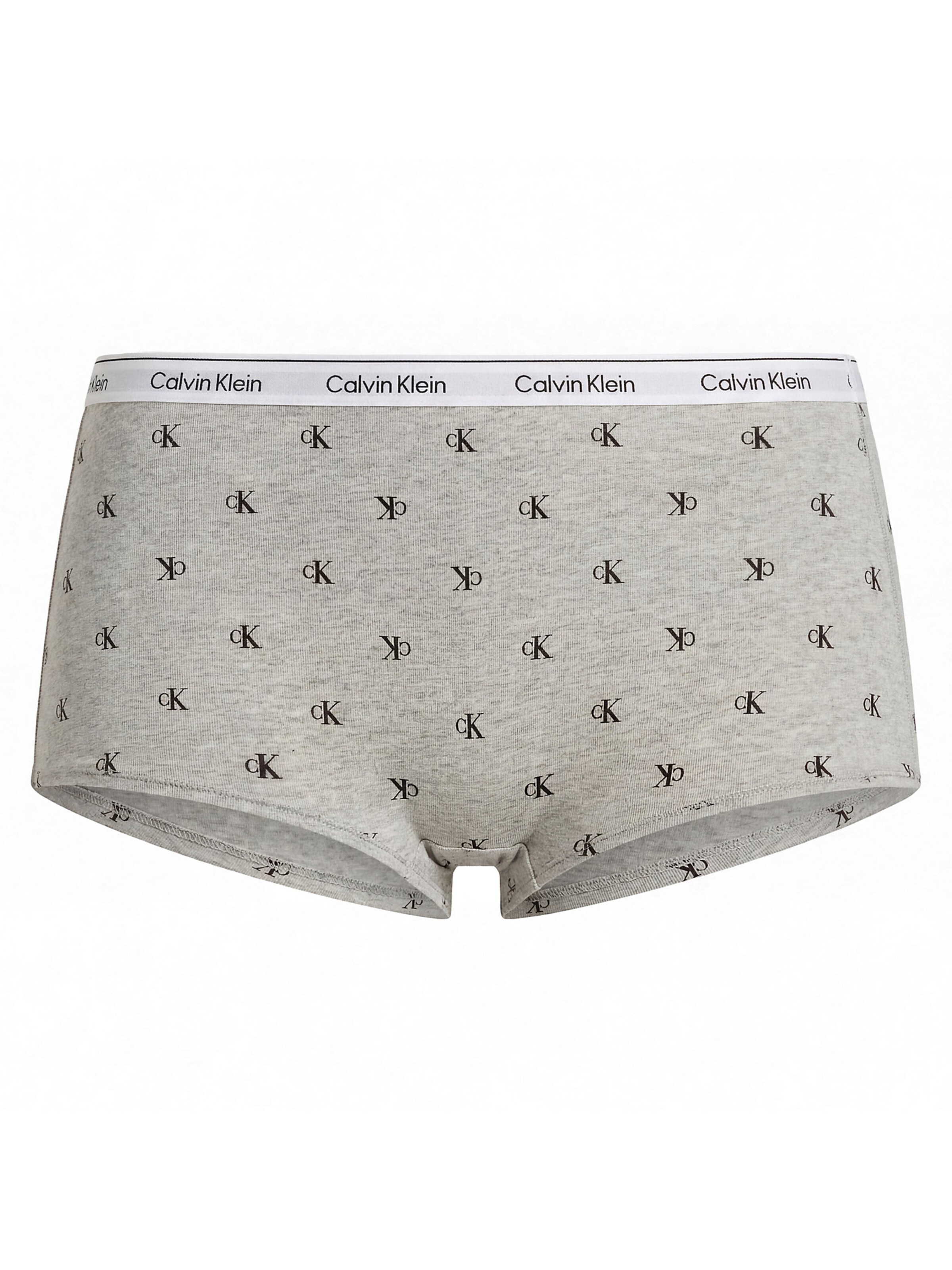 Calvin Klein Underwear Slip in XS in Grey / Black / White, Item view