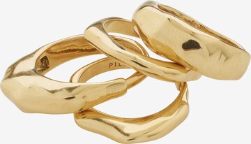 Pilgrim Ring 'ASHER' in Gold: predná strana