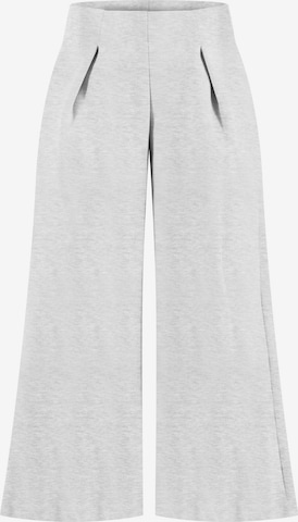 Pantalon ' Sylva ' Smilodox en gris : devant