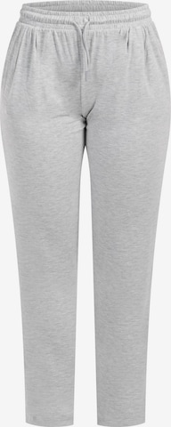 Regular Pantalon Smilodox en gris : devant