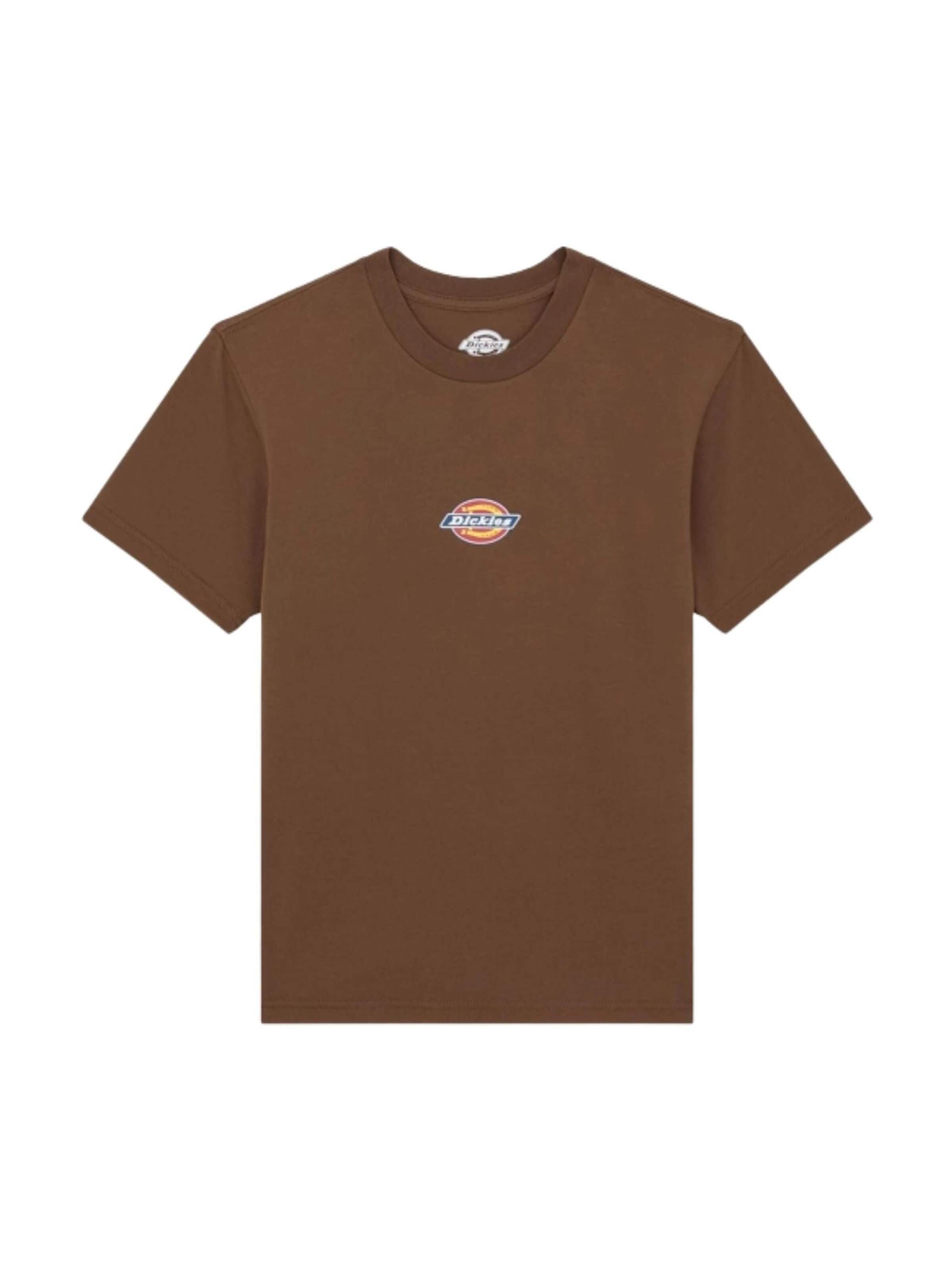 DICKIES Shirt 'DICKIES MAPLE VALLEY REG TEE W T-SHIRT' in Brown: front