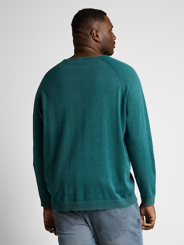 TOM TAILOR Men + Sweater in Green
