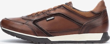 PIKOLINOS Trampki niskie 'Cambil' w kolorze brązowy: przód