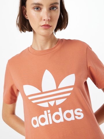 ADIDAS ORIGINALS T-Shirt 'Adicolor Classics Trefoil' in Braun