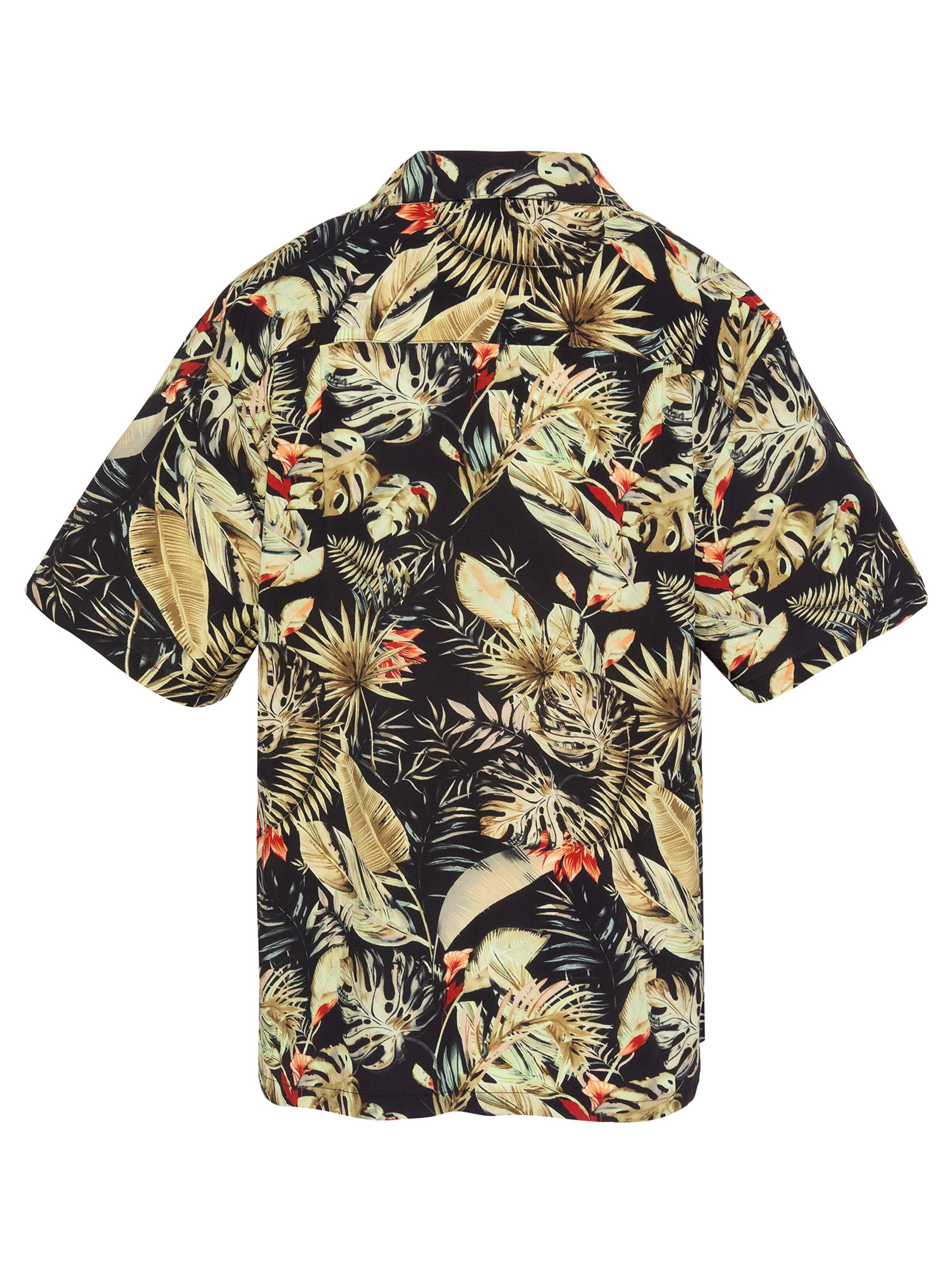 Schott NYC Regular fit Button Up Shirt in Black