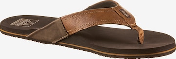 REEF T-Bar Sandals 'Newport' in Brown