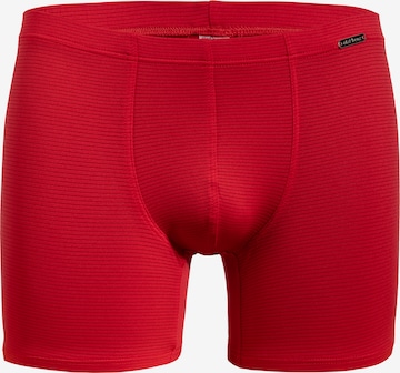 Olaf Benz Boxershorts ' RED1201 Boxerpants ' in Rood: voorkant