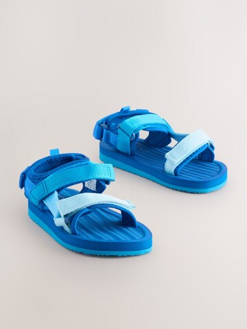 Next Open shoes in Blue