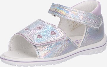 PRIMIGI Sandals in Purple: front