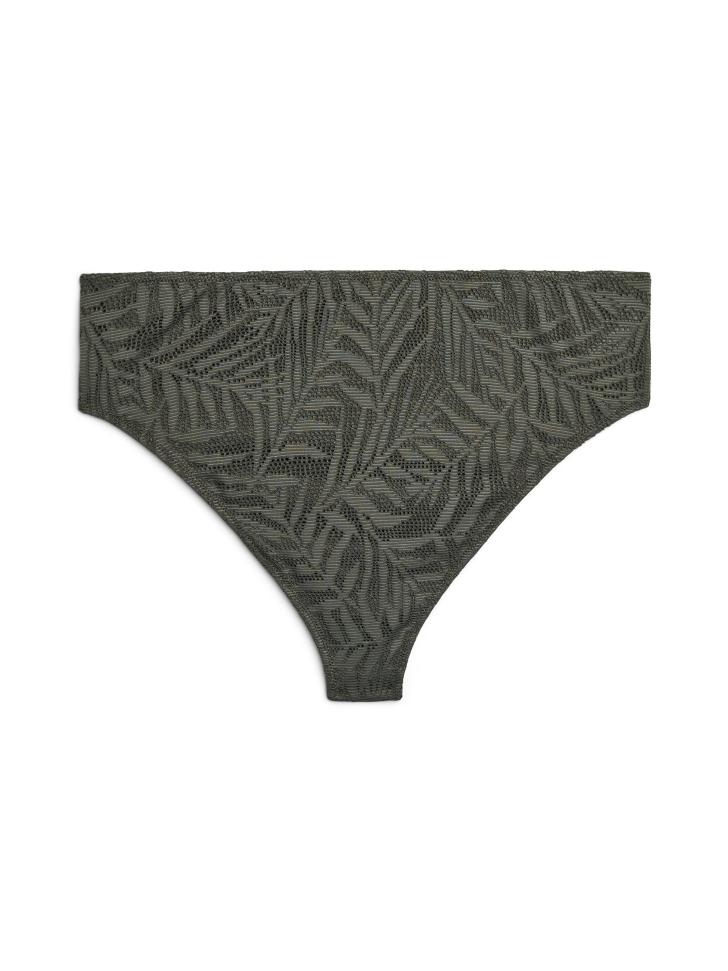 Swim by Zizzi Низ бикини 'Serina' в Зеленый: спереди