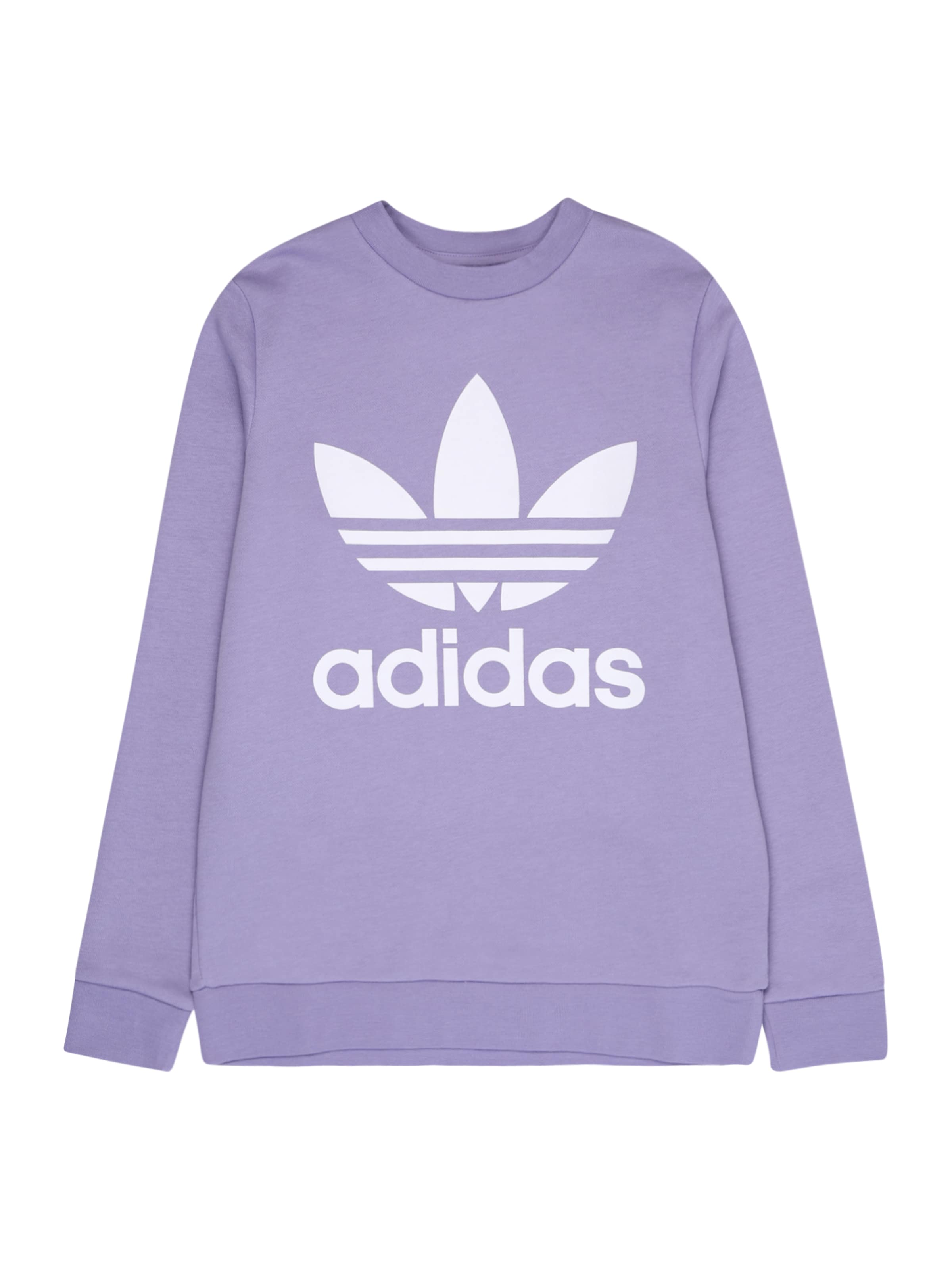 ADIDAS ORIGINALS Regular fit Sweatshirt 'Trefoil Crew' in Pastel Purple |  ABOUT YOU