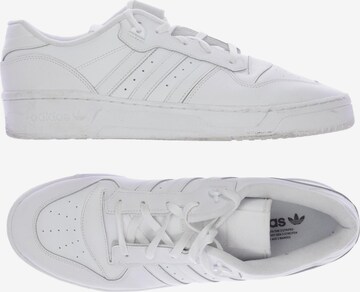 ADIDAS ORIGINALS Sneakers & Trainers in 48,5 in White: front