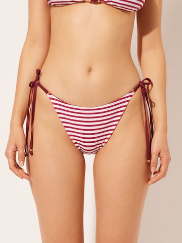 CALZEDONIA Bikini Bottoms in Red: front